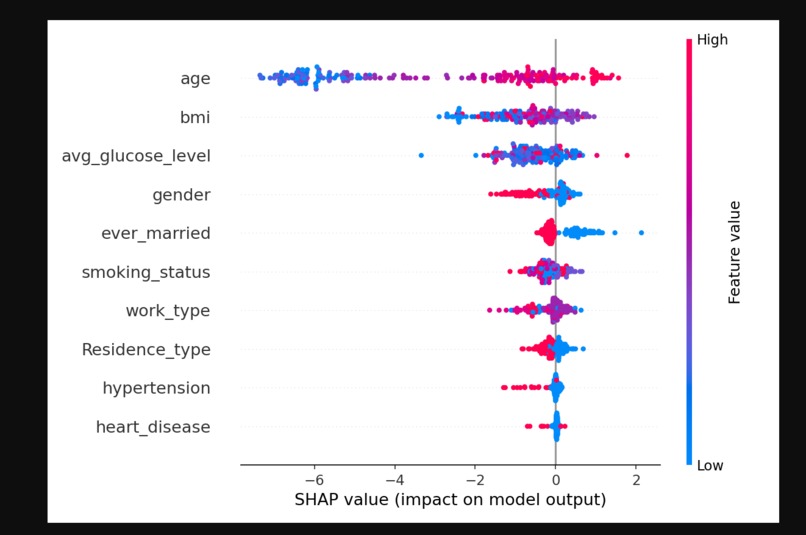 Stroke Risk Assessment Report – screenshot 3