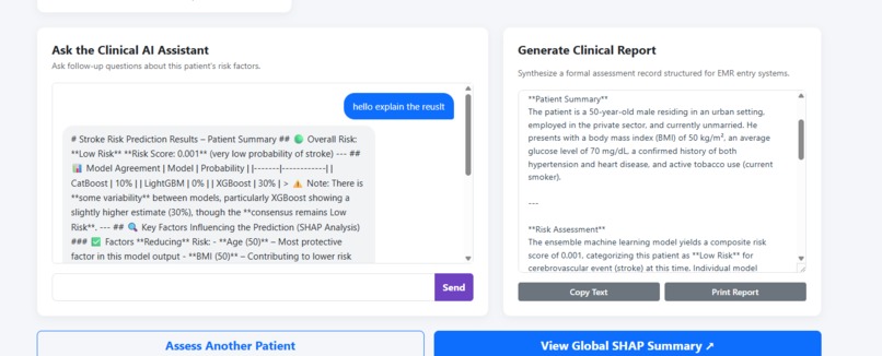 Stroke Risk Assessment Report – screenshot 4