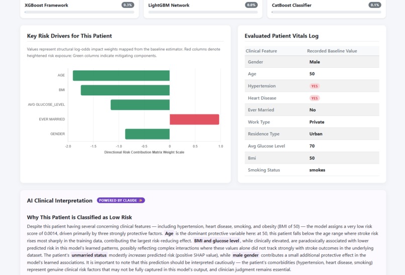 Stroke Risk Assessment Report – screenshot 7