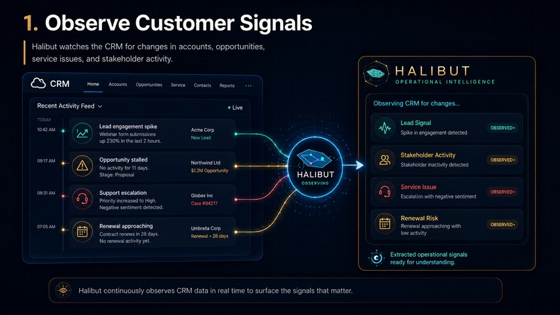  Halibut OS · Operational Intelligence Layer – screenshot 2