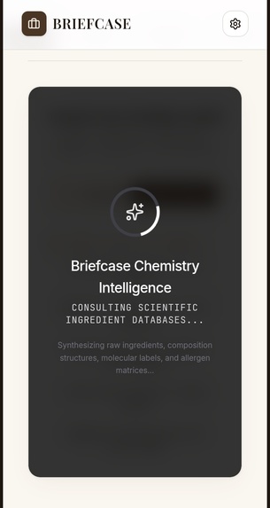BriefCase – screenshot 7