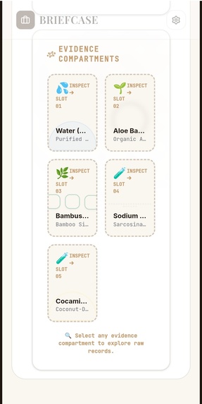 BriefCase – screenshot 9