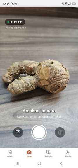Jejak Jamu – screenshot 1