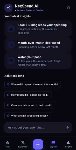 NexSpend – AI Financial Copilot – screenshot 6
