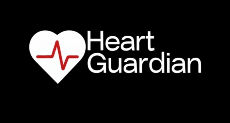 Heart Guardian – screenshot 1