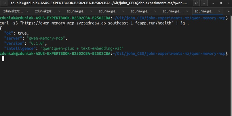 John CEO: Qwen Memory MCP – screenshot 2