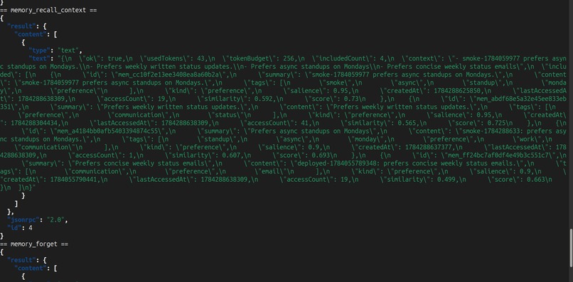 John CEO: Qwen Memory MCP – screenshot 9