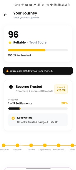 PayPing – screenshot 4