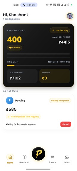 PayPing – screenshot 2