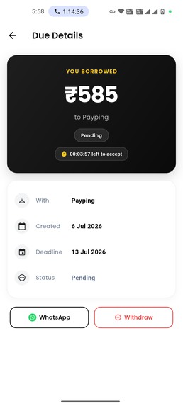 PayPing – screenshot 3