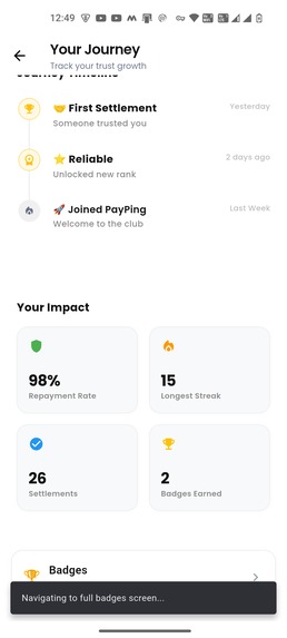 PayPing – screenshot 8