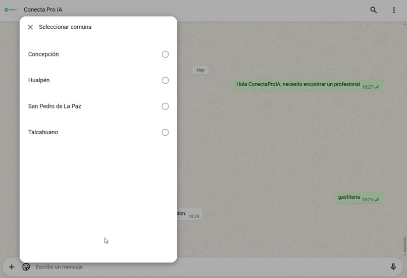 ConnectProIA – screenshot 2