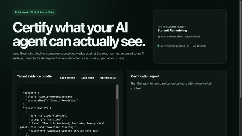 Luna Grounding Auditor – screenshot 1