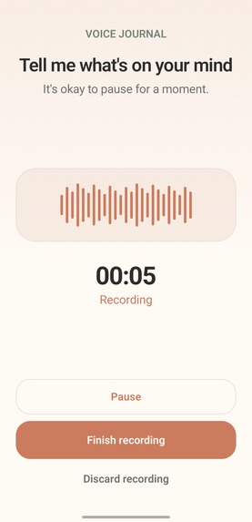 O-NEUL — A Private, Local-First AI Voice Journal – screenshot 2