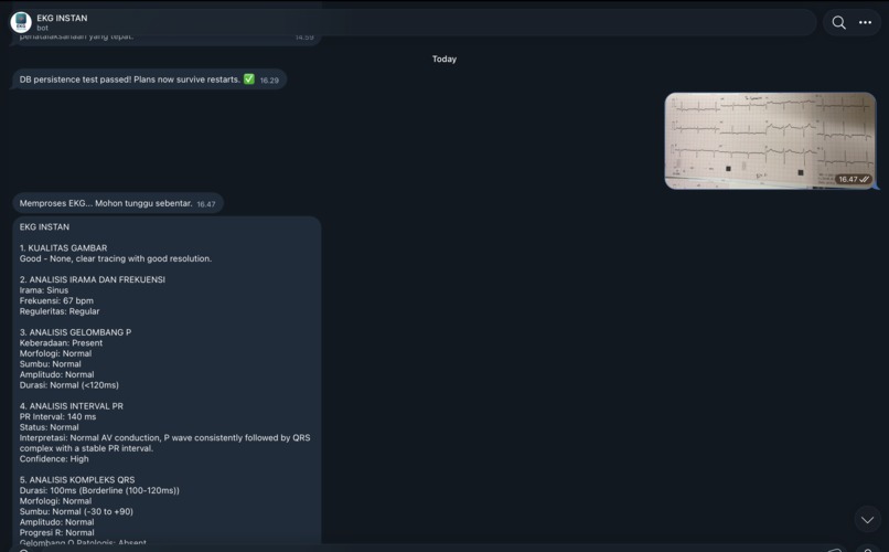 EKG Instan — AI-Powered ECG Reader – screenshot 2