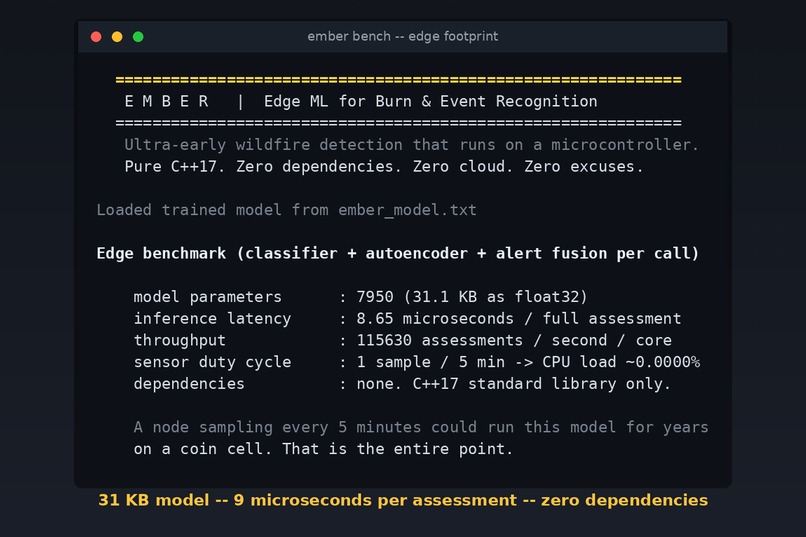 EMBER — Edge ML for Burn & Event Recognition – screenshot 5