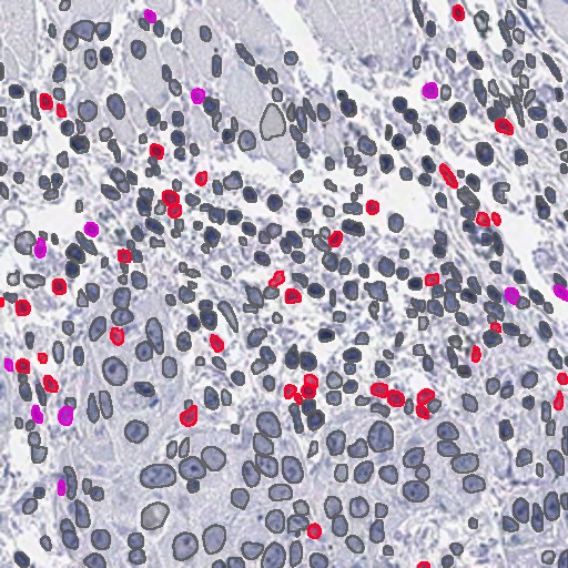 OASIS-Open Access Spatial IHC System – screenshot 2