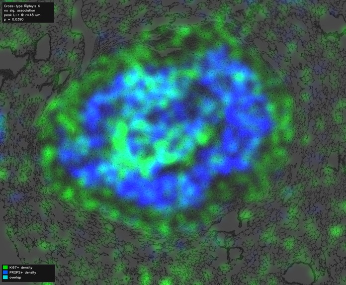 OASIS-Open Access Spatial IHC System – screenshot 8