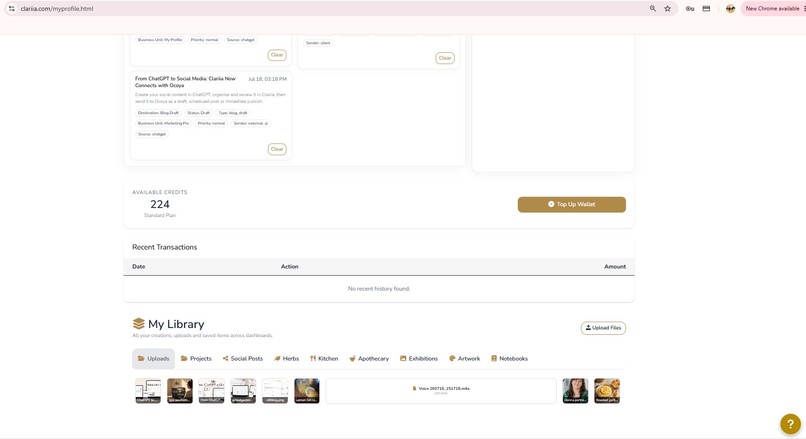 Clariia Action Inbox – screenshot 7