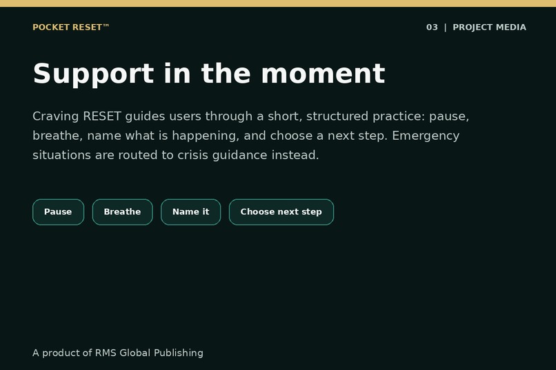 Steadiora – screenshot 4