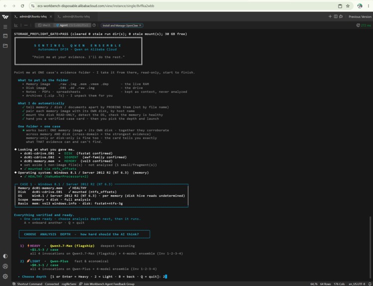Sentinel Qwen Ensemble – screenshot 4