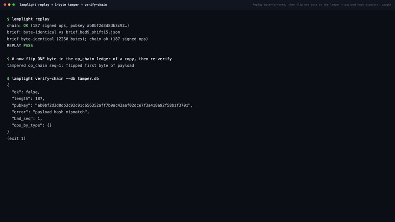 Lamplight – screenshot 6