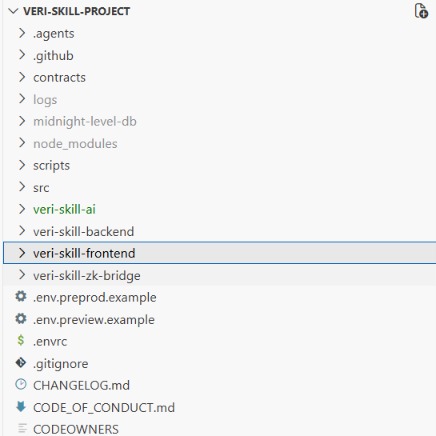Veri-Skill:Zero-Knowledge AI Screener – screenshot 1
