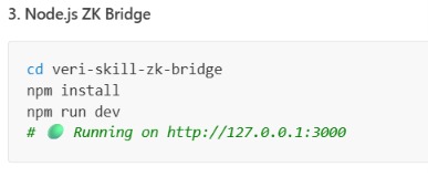 Veri-Skill:Zero-Knowledge AI Screener – screenshot 6