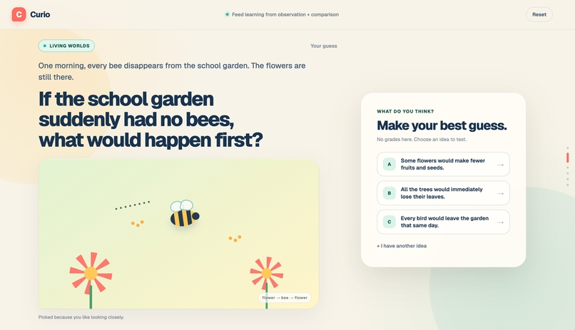 Curio – screenshot 5