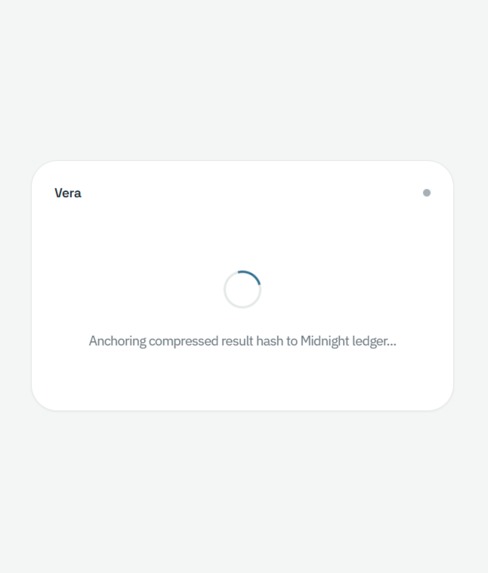 Vera – screenshot 4