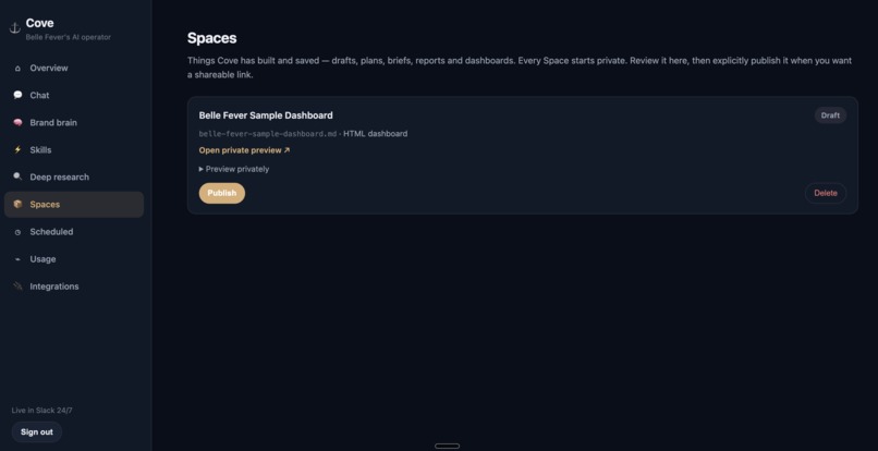 Cove: AI Operator for Business Work – screenshot 2
