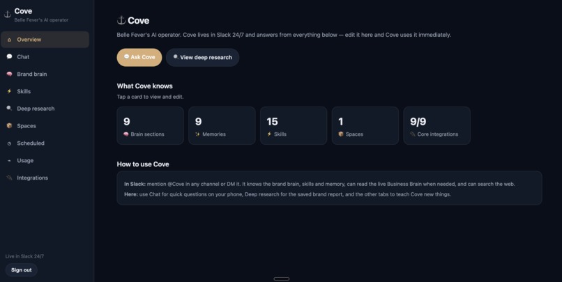 Cove: AI Operator for Business Work – screenshot 3