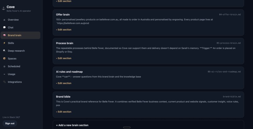 Cove: AI Operator for Business Work – screenshot 7
