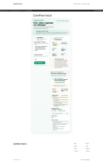 Otthonsegítők AI CareFlow – screenshot 4