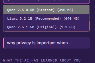 VaultAI — Your AI, protected in your personal vault.