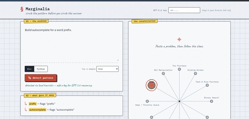 Marginalia — DSA Pattern Detector – screenshot 1