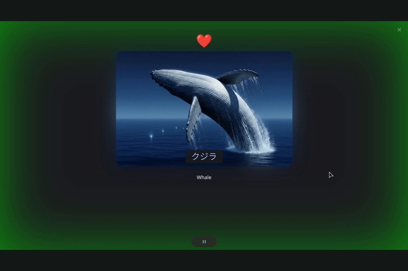 Gifokamp – screenshot 5