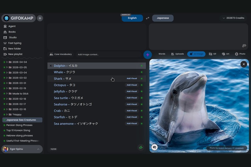 Gifokamp – screenshot 2
