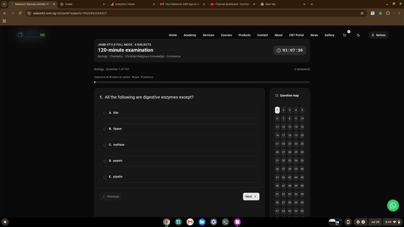 NelsonictNG — Intelligent School Learning Management System – screenshot 2