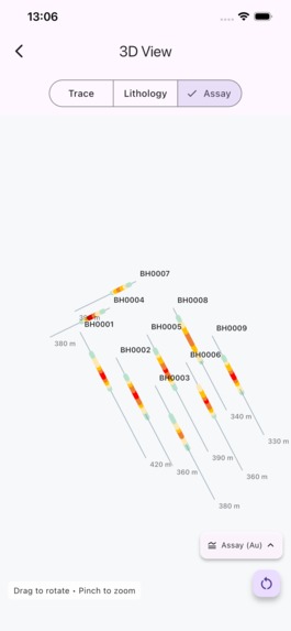 GeoLog Field – screenshot 4