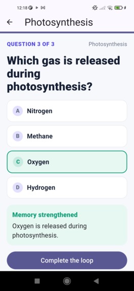 StudyLoop – screenshot 13