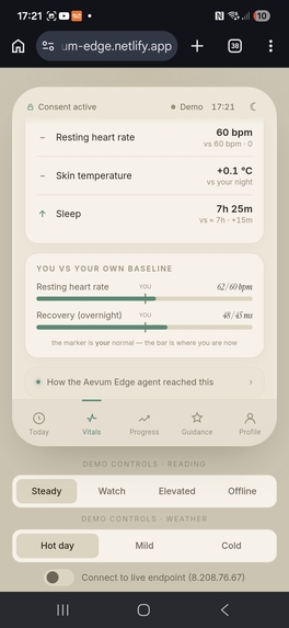 Aevum Edge – screenshot 4