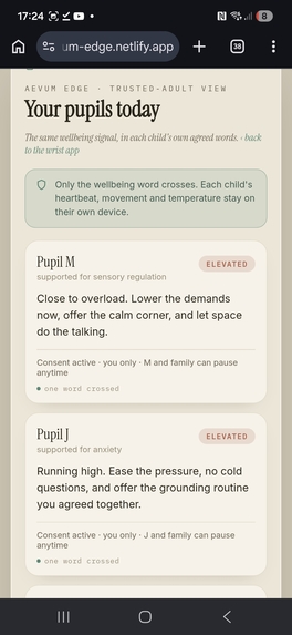 Aevum Edge – screenshot 8