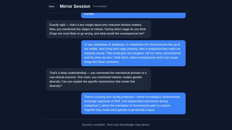 Mirror – screenshot 10