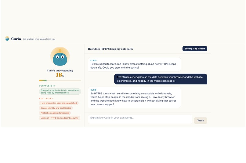 Curio – screenshot 2