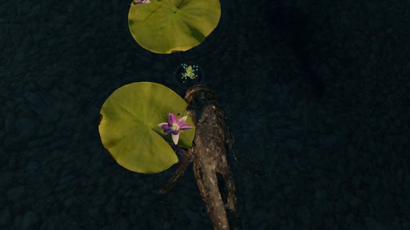 Lily Hop – screenshot 3
