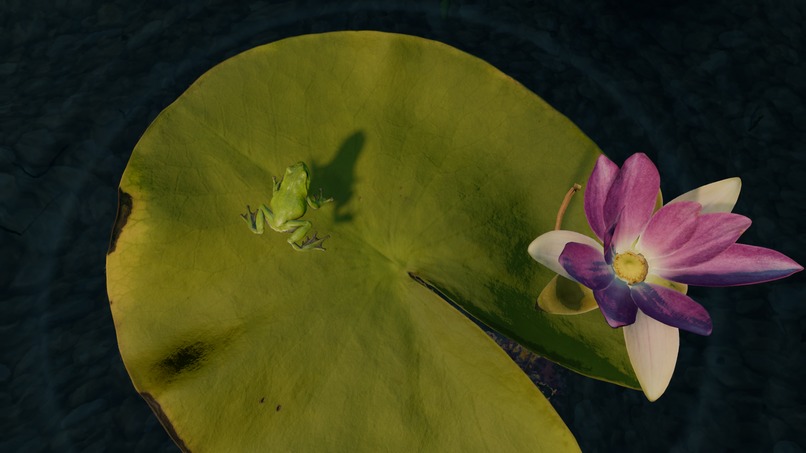 Lily Hop – screenshot 5