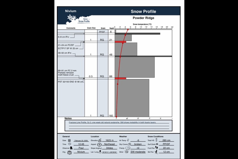Nivium: AI Field Note Quality Review – screenshot 5