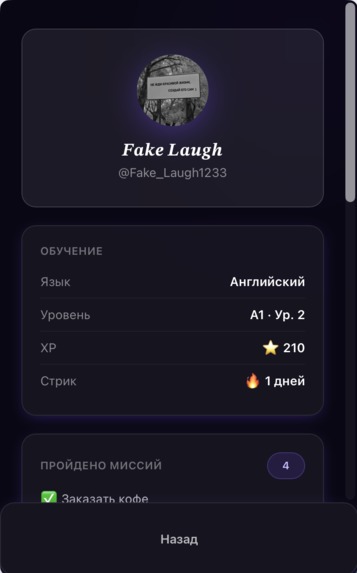 LangVerse – screenshot 7