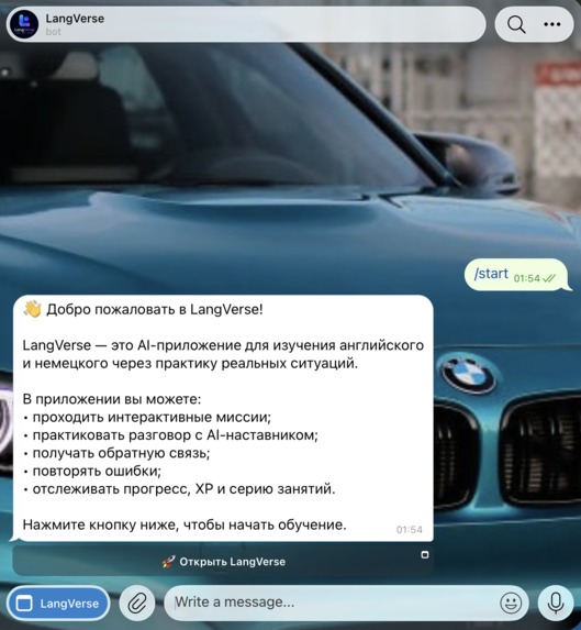 LangVerse – screenshot 2